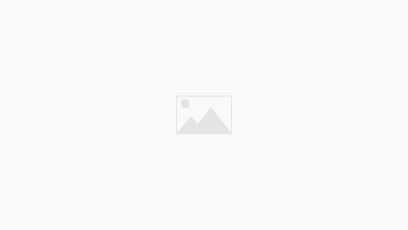 default_image السياسية الاولى